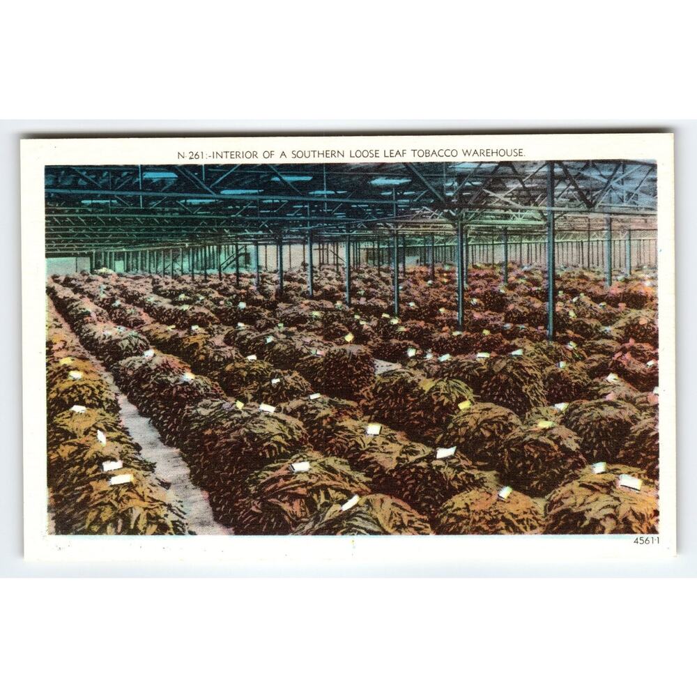Vintage Linen Tobacco Warehouse Interior Postcard Asheville NC 1930s